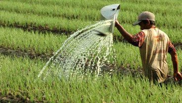 Upah Nominal Buruh Tani pada Desember 2019 Naik 0,13 Persen