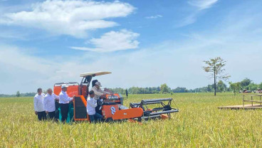 Disambut Petani, Prabowo Hadiri Panen Raya di Majalengka