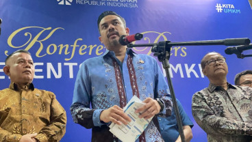 Menteri UMKM Buka Suara soal Aplikasi Temu China Beredar di RI