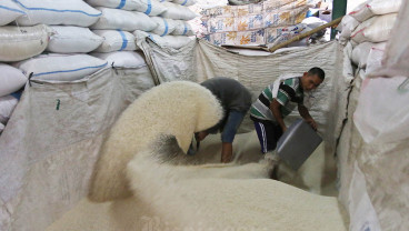PIBC Simpan 50.000 Ton Beras, Pemerintah Pede Amankan Stok Beras Nasional