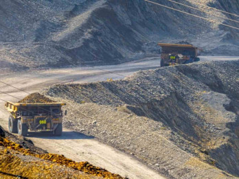 Vanguard Getol Tumpuk Saham Amman Mineral (AMMN)