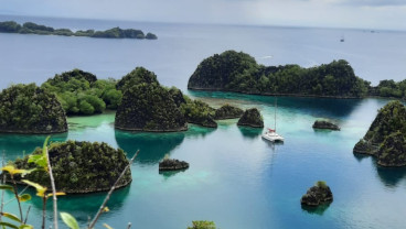 Ada Pelanggaran Serius Lingkungan, 4 Tambang di Raja Ampat Bakal Didenda